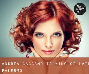 Andrea Caccamo - Talking Of Hair (Palermo)
