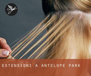 Estensioni a Antelope Park