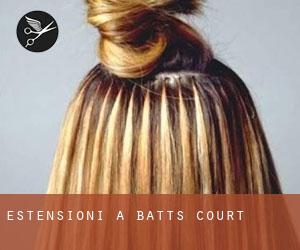Estensioni a Batts Court