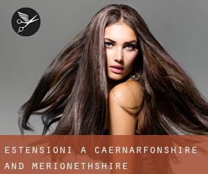 Estensioni a Caernarfonshire and Merionethshire Estensioni a Caernarfonshire and Merionethshire
