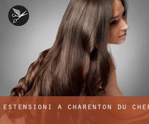 Estensioni a Charenton-du-Cher