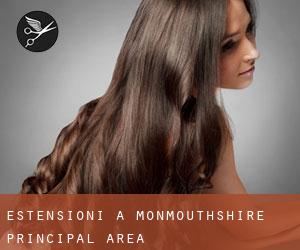Estensioni a Monmouthshire principal area Estensioni a Monmouthshire principal area
