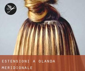 Estensioni a Olanda Meridionale Estensioni a Olanda Meridionale