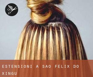 Estensioni a São Félix do Xingu Estensioni a São Félix do Xingu
