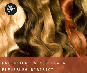 Estensioni a Schleswig-Flensburg District