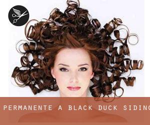 Permanente a Black Duck Siding