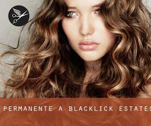 Permanente a Blacklick Estates