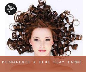 Permanente a Blue Clay Farms