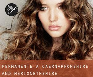 Permanente a Caernarfonshire and Merionethshire