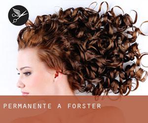Permanente a Forster
