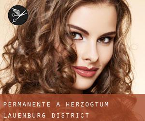 Permanente a Herzogtum Lauenburg District Permanente a Herzogtum Lauenburg District