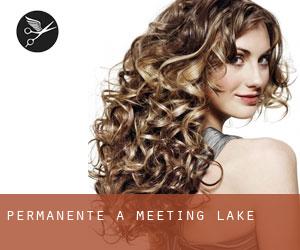 Permanente a Meeting Lake