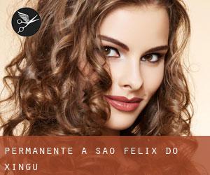 Permanente a São Félix do Xingu Permanente a São Félix do Xingu