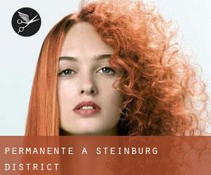 Permanente a Steinburg District