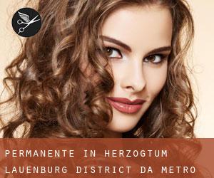 Permanente in Herzogtum Lauenburg District da metro - pagina 1