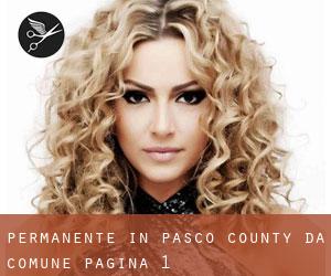 Permanente in Pasco County da comune - pagina 1