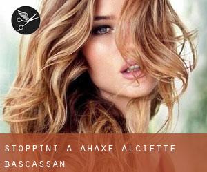 Stoppini a Ahaxe-Alciette-Bascassan