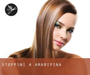 Stoppini a Araripina