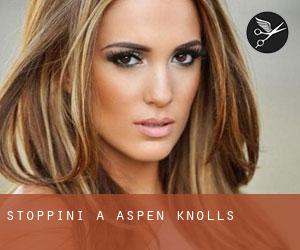 Stoppini a Aspen Knolls