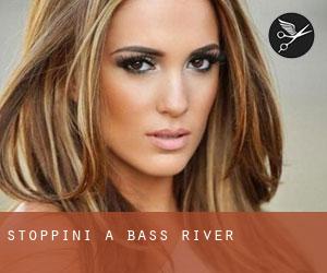Stoppini a Bass River