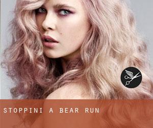 Stoppini a Bear Run