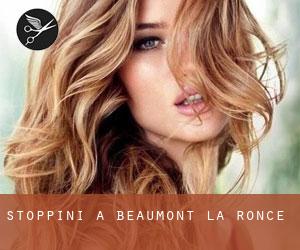 Stoppini a Beaumont-la-Ronce