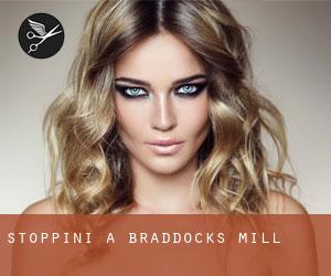 Stoppini a Braddocks Mill
