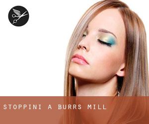 Stoppini a Burrs Mill