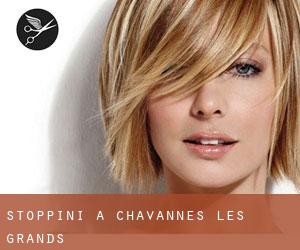 Stoppini a Chavannes-les-Grands