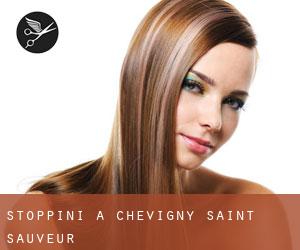 Stoppini a Chevigny-Saint-Sauveur