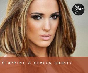 Stoppini a Geauga County