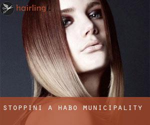 Stoppini a Habo Municipality