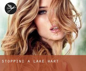 Stoppini a Lake Hart