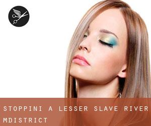 Stoppini a Lesser Slave River M.District