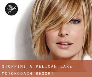 Stoppini a Pelican Lake Motorcoach Resort