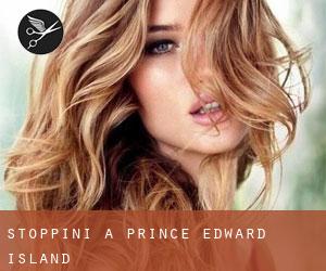 Stoppini a Prince Edward Island