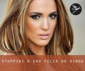Stoppini a São Félix do Xingu Stoppini a São Félix do Xingu