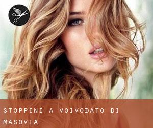 Stoppini a Voivodato di Masovia Stoppini a Voivodato di Masovia