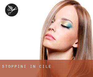 Stoppini in Cile Stoppini in Cile