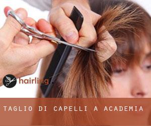 Taglio di capelli a Academia