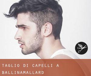 Taglio di capelli a Ballinamallard