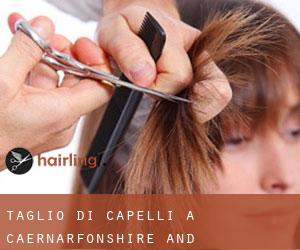 Taglio di capelli a Caernarfonshire and Merionethshire Taglio di capelli a Caernarfonshire and Merionethshire