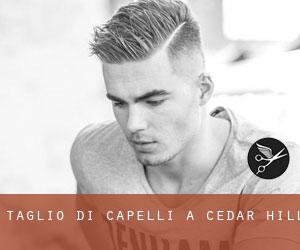 Taglio di capelli a Cedar Hill Taglio di capelli a Cedar Hill