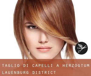 Taglio di capelli a Herzogtum Lauenburg District