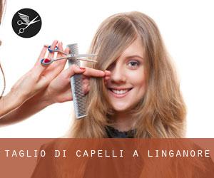 Taglio di capelli a Linganore