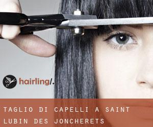 Taglio di capelli a Saint-Lubin-des-Joncherets