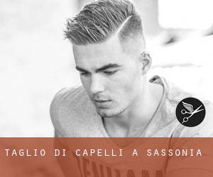 Taglio di capelli a Sassonia Taglio di capelli a Sassonia