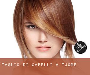 Taglio di capelli a Tjøme Taglio di capelli a Tjøme