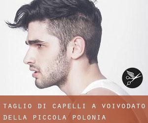 Taglio di capelli a Voivodato della Piccola Polonia Taglio di capelli a Voivodato della Piccola Polonia