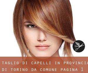 Taglio di capelli in Provincia di Torino da comune - pagina 1